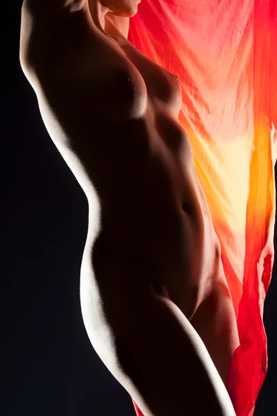 Seksi kadın vücudunun sade bir fotoğrafı — Stok fotoğraf