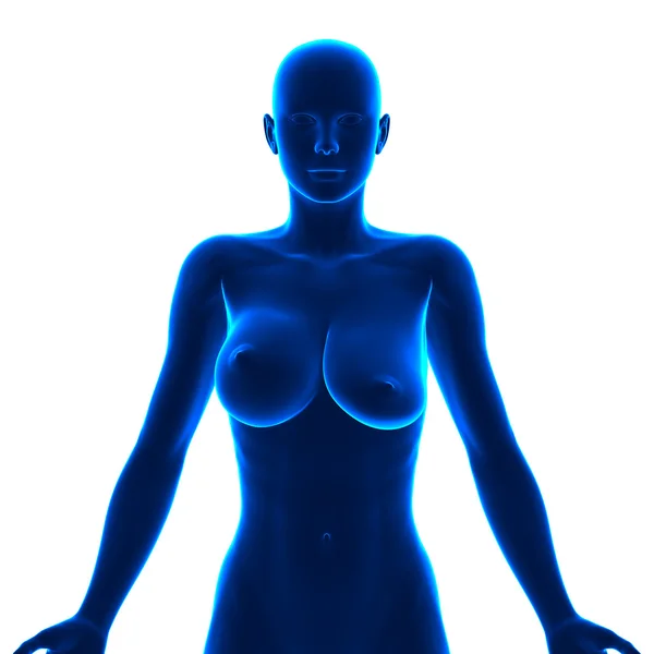 Нерівномірні груди - різні розміри — стокове фото