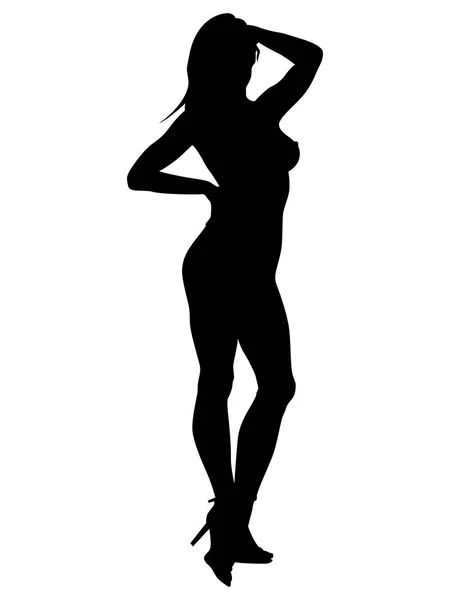 Sexy Woman Silhouette Stock Vector By ©snesivan888 21341547